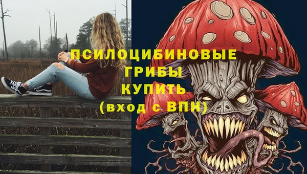мяу мяу мука Магас